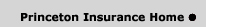 Princeton Insurance website